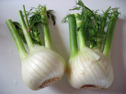 fennel.jpg